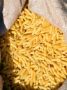 Pasta corta bianca